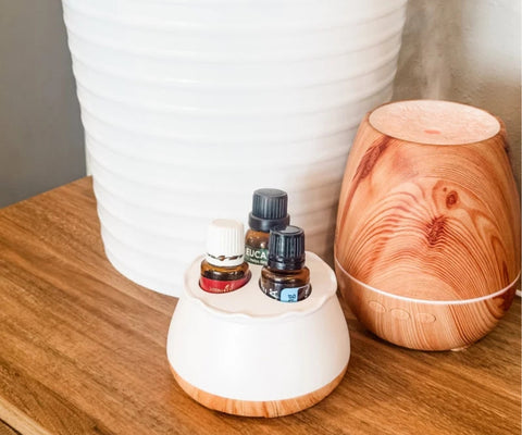 OilNest Next To Your Diffuser